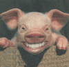 Avatar de l’utilisateur