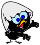 Avatar de l’utilisateur
