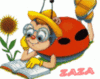 Avatar de l’utilisateur