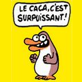 Avatar de l’utilisateur