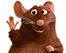 Avatar de l’utilisateur