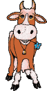 Avatar de l’utilisateur